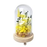 Gifts - Image 3